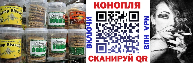 мега онион  Кирово-Чепецк  Canna-Cookies конопля 