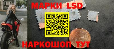 ПСИЛОЦИБИНОВЫЕ ГРИБЫ Коммунар