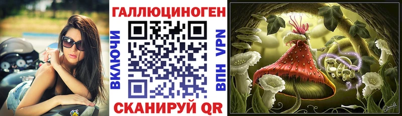 как найти   Кирово-Чепецк  Псилоцибиновые грибы Psilocybe 