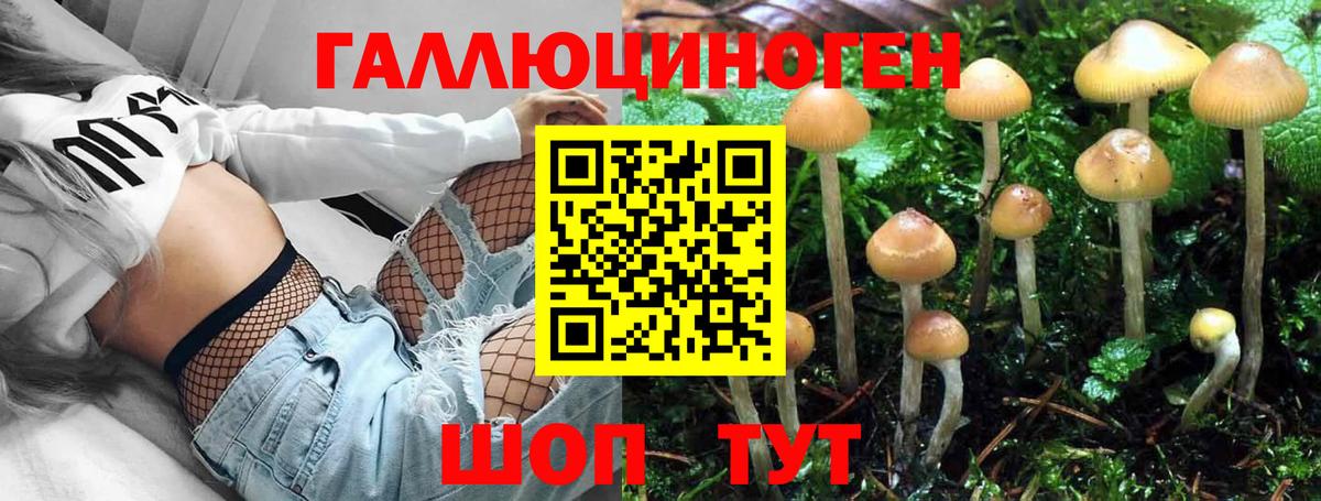 Кирово-Чепецк  Псилоцибиновые грибы ЛСД  Вход с VPN 